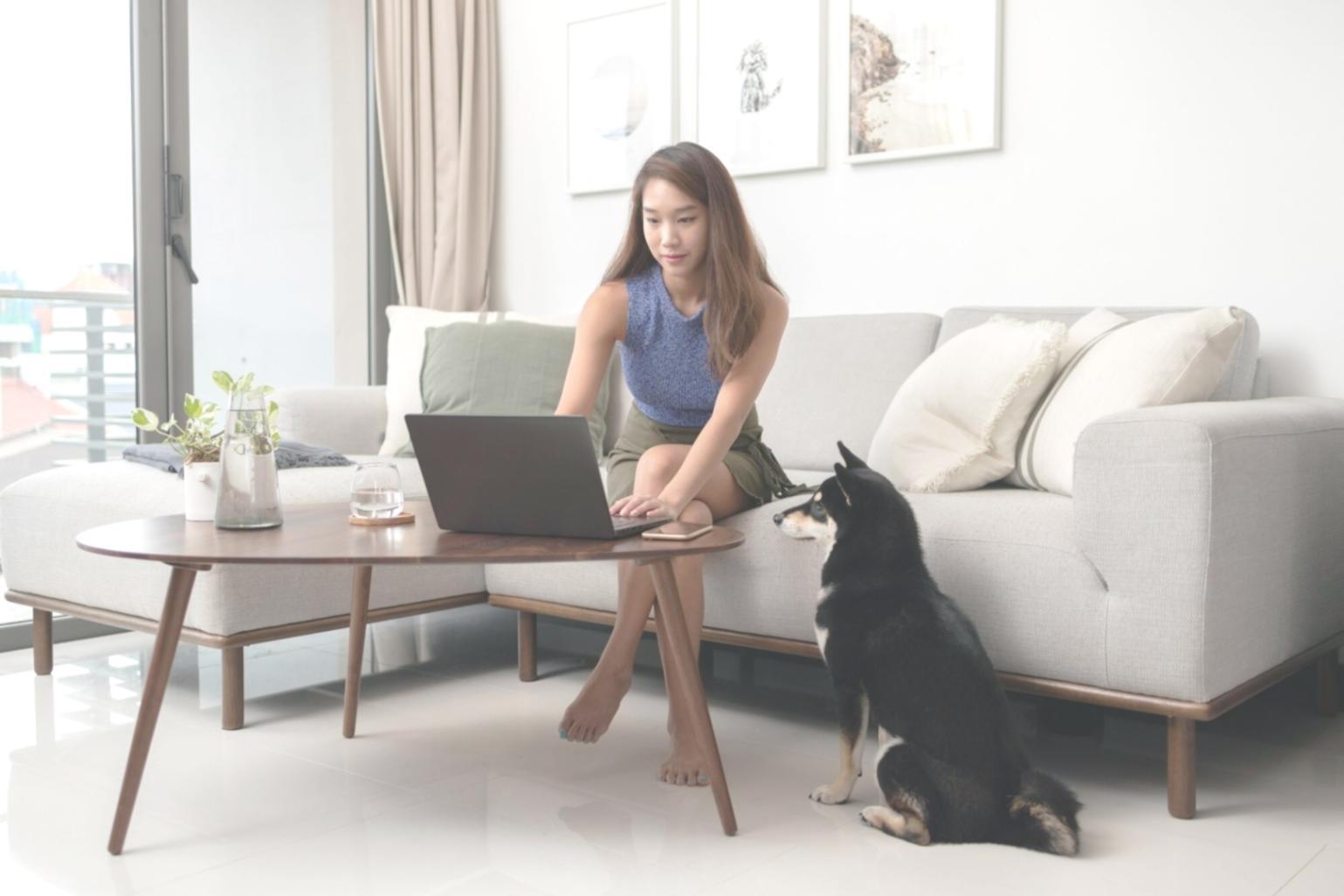 Espace de travail collaboratif de l'équipe carulynexio à Brest